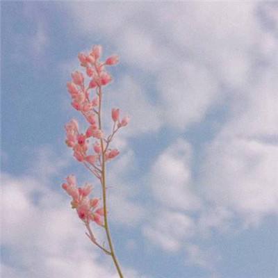 恐怖之屋VR瓦莱丽的复仇中文版下载